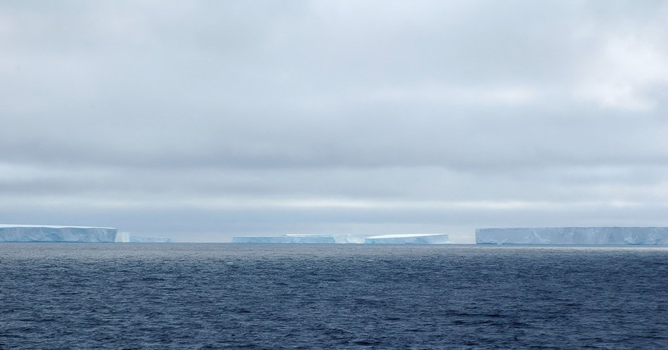 Abgebrochene Teile der Eisschelfe treiben als Tafeleisberge noch jahrelang im Südpolarmeer und düngen dabei den umliegenden Ozean mit Süsswasser und Nährstoffen. Erst nach vielen Jahren sind die Eisgiganten weggeschmolzen. Bild: Michael Wenger