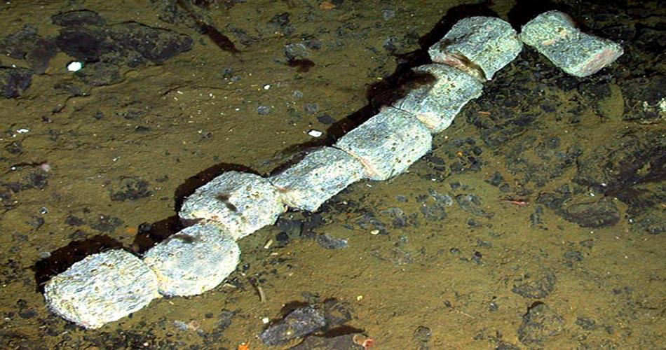 Wirbelknochen eines Zwergwales auf dem Boden eines Kraters bei den Südsandwich Inseln. (Quelle: National Environment Research Council)