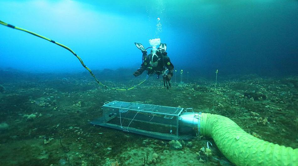 Die Schläuche führen das angereicherte Wasser in die Kammer und exponieren so die Organismen den höheren CO<sub>2</sub>-Mengen. Photo: Johnny Stark