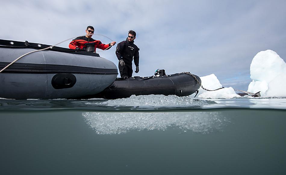 Taucheinsatz vor dem Gletscher in Potter Cove. Foto: AWI, Anders Torstensson