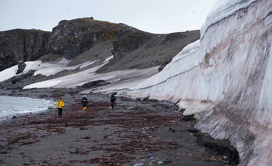 Schmelzendes Eis in Potter Cove. Foto: AWI, Anders Torstensson