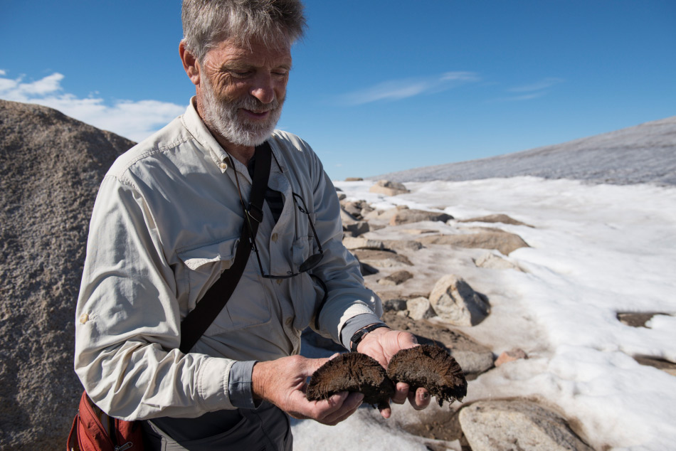 Gifford Miller von der Universität Colorado hält einige gesammelte Moosproben in die Höhe. Die Proben stammen von Baffin Island in der kanadischen Arktis. Bild: Matthew Kennedy, EarthVision Trust