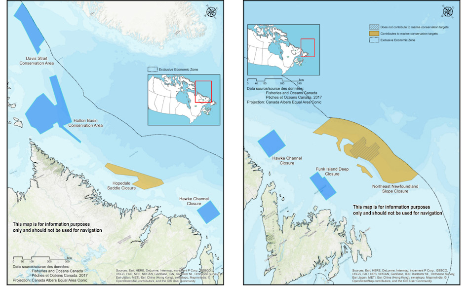 Die sieben neuen Meeresreservate liegen an der kanadischen Ostküste und zählen zur arktischen Küste. Von Wirbellosen wie Schwämmen bis zu mysteriösen Narwalen leben in diesen Regionen. Bild: Fisheries and Oceans Canada