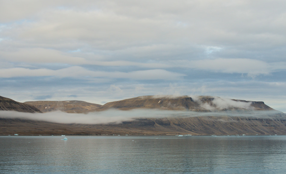 Der grösste Teil der Insel ist ohne Vegetation und besteht aus Permafrostboden. Auf der Insel finden sich Lemminge und Moschusochsen und den bekannten Haughton-Meteorkrater. Bild: Michael Wenger