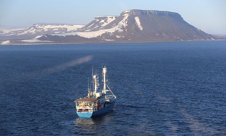 Die Suche nach Eisbären wird hauptsächlich mit Schiffen durchgeführt, da die Inseln zu weit auseinander liegen und zu isoliert sind, um die Aufgabe nur durch Luftüberwachung durchzuführen. Foto: Magnus Andersen, der Norwegian Polar Institute