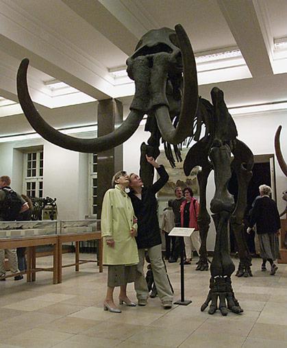 mammut-muenster