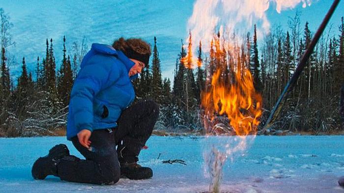 Tundra Feuer