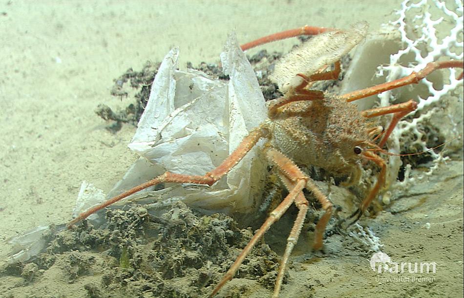 Müll am Tiefseeboden des Mittelmeeres von der Expedition M70/1 mit FS Meteor. Foto: Alfred-Wegener-Institut / MARUM Universität Bremen