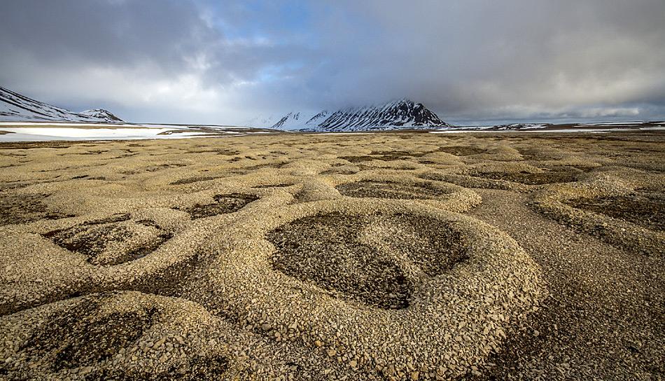 Spitzbergen: Wo die Winterkälte Risse im Permafrostboden hinterlässt, lagern Schmelzwasserbäche im Frühjahr Steinchen und anderes Treibgut ab. Gefriert das Wasser in den Rissen dann erneut und dehnt sich aus, wird alles Eingelagerte ausgespuckt und bildet diese auffälligen Ringmuster. Foto: Jaroslav Obu, AWI