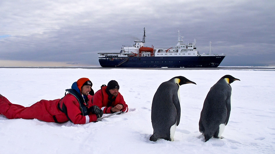 Mit etwas Glück konnten wir Kaiserpinguine vor die Linse bekommen.