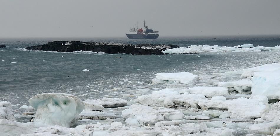 PolarNEWS besucht South Sandwich Islands