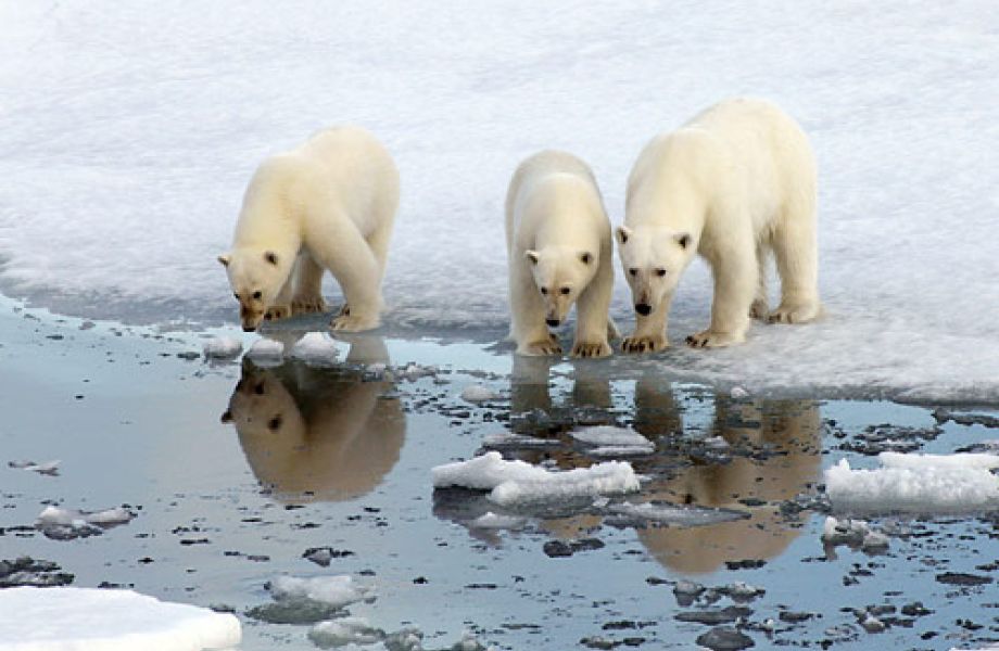 PolarNEWS Filmteam weiterhin auf Erfolgskurs