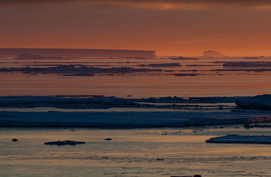 Expedition Kaiserpinguine